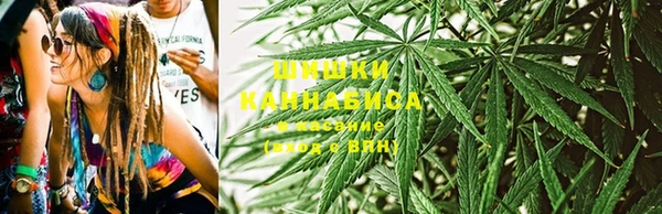 индика Семёнов