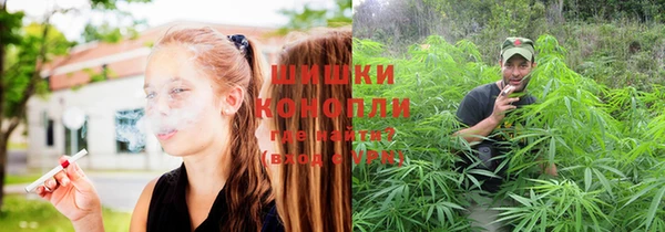 хмурый Богданович