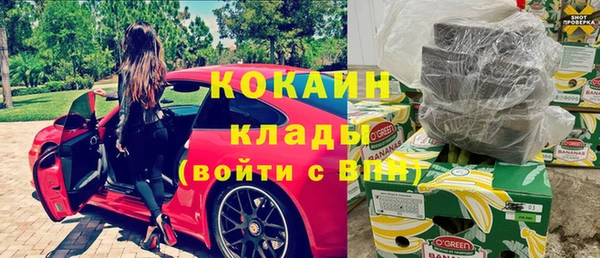 дживик Семилуки