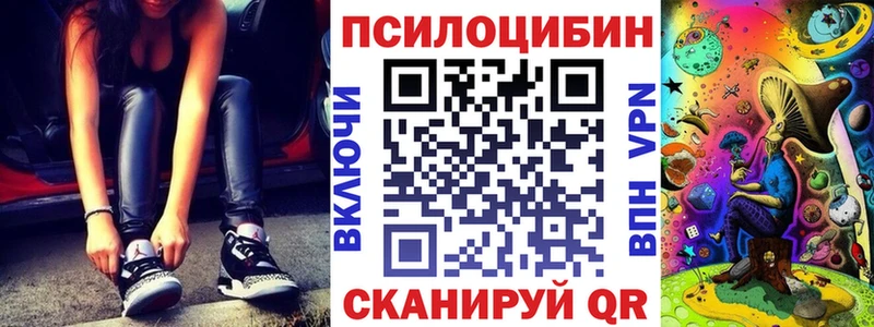 закладка  Светлогорск  Псилоцибиновые грибы Cubensis 