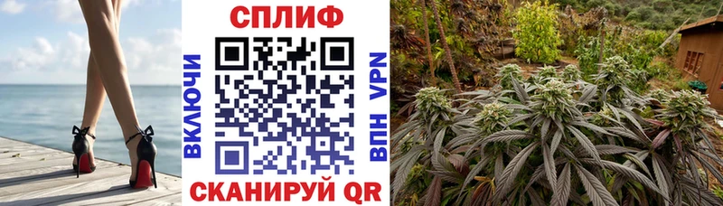 Шишки марихуана семена  где найти наркотики  blacksprut как зайти  Светлогорск 